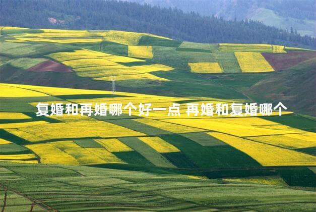 复婚和再婚哪个好一点 再婚和复婚哪个会幸福